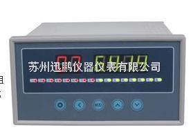 苏州迅鹏SPB-XSL16带通讯巡检仪-苏州迅鹏仪器仪表