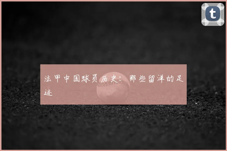 法甲中国球员历史:那些留洋的足迹
